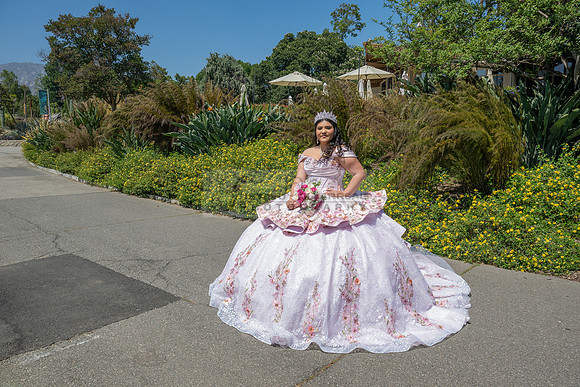 Sofia Mia quinceañera photos, videos, session, at Los Ageles Arboretum and Botanic Garden in Arcadia Ca, Gustavo Villarreal photographer, videographer, 323-633-8283, www.gvphotoandvideo.com