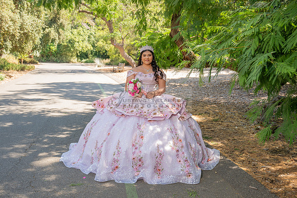 Sofia Mia quinceañera photos, videos, session, at Los Ageles Arboretum and Botanic Garden in Arcadia Ca, Gustavo Villarreal photographer, videographer, 323-633-8283, www.gvphotoandvideo.com