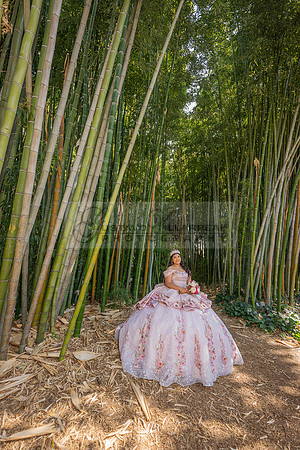 Sofia Mia quinceañera photos, videos, session, at Los Ageles Arboretum and Botanic Garden in Arcadia Ca, Gustavo Villarreal photographer, videographer, 323-633-8283, www.gvphotoandvideo.com