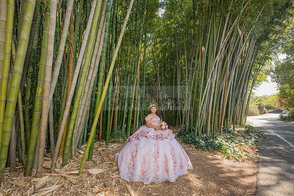 Sofia Mia quinceañera photos, videos, session, at Los Ageles Arboretum and Botanic Garden in Arcadia Ca, Gustavo Villarreal photographer, videographer, 323-633-8283, www.gvphotoandvideo.com