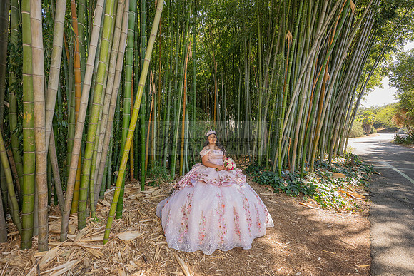 Sofia Mia quinceañera photos, videos, session, at Los Ageles Arboretum and Botanic Garden in Arcadia Ca, Gustavo Villarreal photographer, videographer, 323-633-8283, www.gvphotoandvideo.com