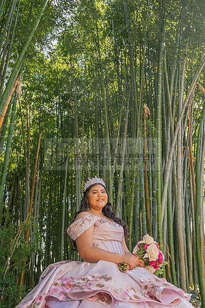 Sofia Mia quinceañera photos, videos, session, at Los Ageles Arboretum and Botanic Garden in Arcadia Ca, Gustavo Villarreal photographer, videographer, 323-633-8283, www.gvphotoandvideo.com