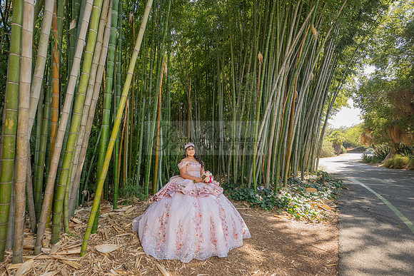 Sofia Mia quinceañera photos, videos, session, at Los Ageles Arboretum and Botanic Garden in Arcadia Ca, Gustavo Villarreal photographer, videographer, 323-633-8283, www.gvphotoandvideo.com