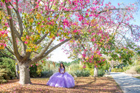 Alexis Mariana quinceanera photoshoot, video in Los Angeles Arboretum in Arcadia Ca. 323-633-8283