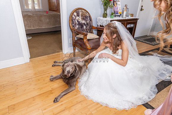 Judith and Antonio wedding celebration, photographer, videographer at Quiet Cannon Event Center in Montebello Ca. wedding photo, video, 323-633-8283