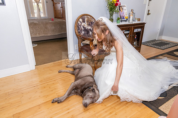 Judith and Antonio wedding celebration, photographer, videographer at Quiet Cannon Event Center in Montebello Ca. wedding photo, video, 323-633-8283