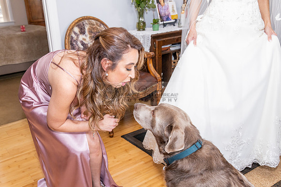 Judith and Antonio wedding celebration, photographer, videographer at Quiet Cannon Event Center in Montebello Ca. wedding photo, video, 323-633-8283