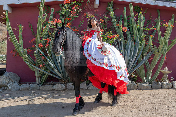Sabrina Ai Crescencio quinceanera photoshoot photo, video en caballos, Duarte Ca, 323-633-8283, www.gvphotoandvideo.com