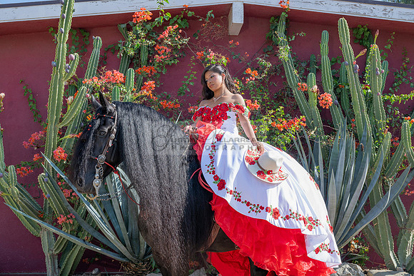 Sabrina Ai Crescencio quinceanera photoshoot photo, video en caballos, Duarte Ca, 323-633-8283, www.gvphotoandvideo.com