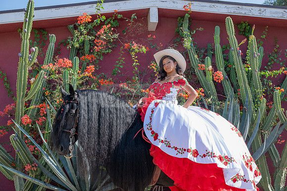 Sabrina Ai Crescencio quinceanera photoshoot photo, video en caballos, Duarte Ca, 323-633-8283, www.gvphotoandvideo.com