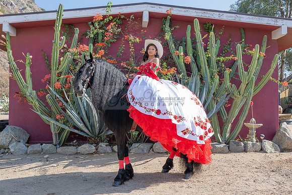 Sabrina Ai Crescencio quinceanera photoshoot photo, video en caballos, Duarte Ca, 323-633-8283, www.gvphotoandvideo.com