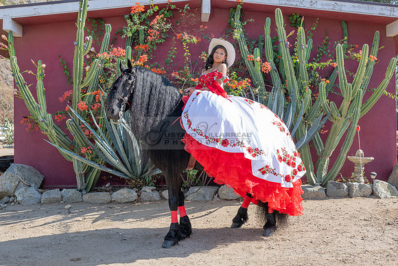 Sabrina Ai Crescencio quinceanera photoshoot photo, video en caballos, Duarte Ca, 323-633-8283, www.gvphotoandvideo.com