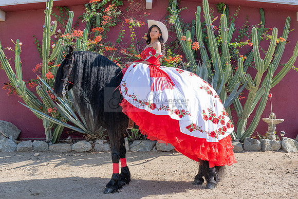 Sabrina Ai Crescencio quinceanera photoshoot photo, video en caballos, Duarte Ca, 323-633-8283, www.gvphotoandvideo.com