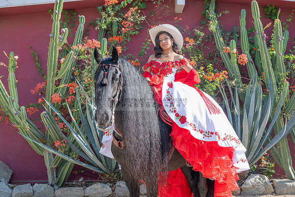 Sabrina Ai Crescencio quinceanera photoshoot photo, video en caballos, Duarte Ca, 323-633-8283, www.gvphotoandvideo.com