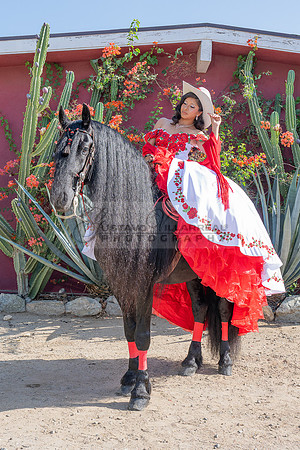 Sabrina Ai Crescencio quinceanera photoshoot photo, video en caballos, Duarte Ca, 323-633-8283, www.gvphotoandvideo.com