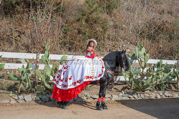Sabrina Ai Crescencio quinceanera photoshoot photo, video en caballos, Duarte Ca, 323-633-8283, www.gvphotoandvideo.com