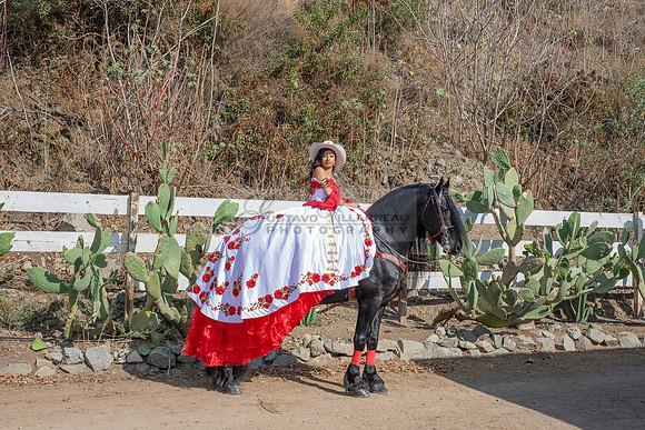 Sabrina Ai Crescencio quinceanera photoshoot photo, video en caballos, Duarte Ca, 323-633-8283, www.gvphotoandvideo.com