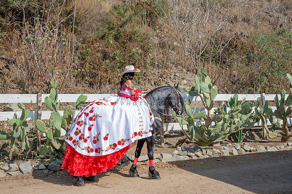 Sabrina Ai Crescencio quinceanera photoshoot photo, video en caballos, Duarte Ca, 323-633-8283, www.gvphotoandvideo.com