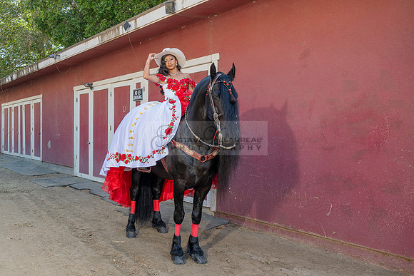 Sabrina Ai Crescencio quinceanera photoshoot photo, video en caballos, Duarte Ca, 323-633-8283, www.gvphotoandvideo.com