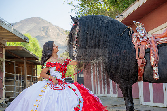 Sabrina Ai Crescencio quinceanera photoshoot photo, video en caballos, Duarte Ca, 323-633-8283, www.gvphotoandvideo.com