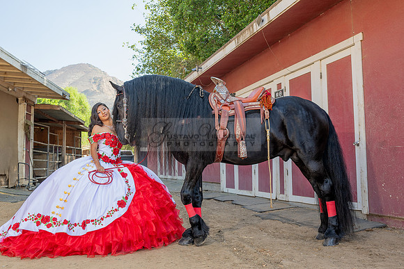 Sabrina Ai Crescencio quinceanera photoshoot photo, video en caballos, Duarte Ca, 323-633-8283, www.gvphotoandvideo.com