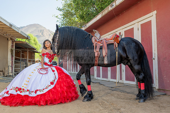 Sabrina Ai Crescencio quinceanera photoshoot photo, video en caballos, Duarte Ca, 323-633-8283, www.gvphotoandvideo.com