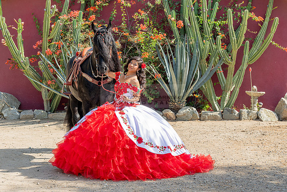 Sabrina Ai Crescencio quinceanera photoshoot photo, video en caballos, Duarte Ca, 323-633-8283, www.gvphotoandvideo.com