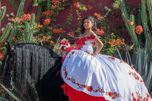 Sabrina Ai Crescencio quinceanera photoshoot photo, video en caballos, Duarte Ca, 323-633-8283, www.gvphotoandvideo.com
