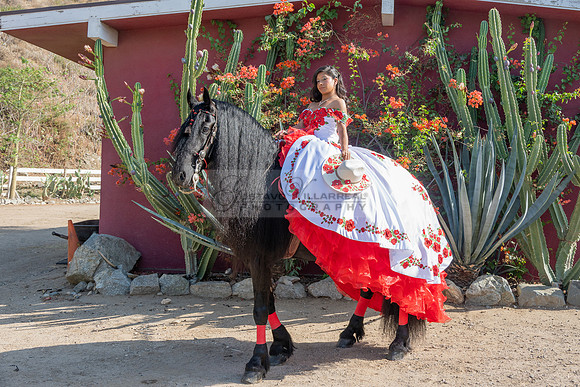 Sabrina Ai Crescencio quinceanera photoshoot photo, video en caballos, Duarte Ca, 323-633-8283, www.gvphotoandvideo.com