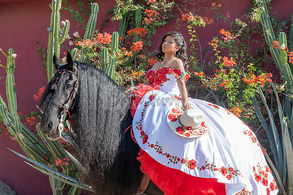 Sabrina Ai Crescencio quinceanera photoshoot photo, video en caballos, Duarte Ca, 323-633-8283, www.gvphotoandvideo.com
