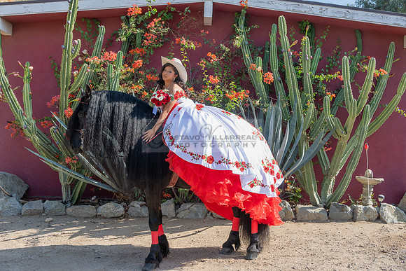 Sabrina Ai Crescencio quinceanera photoshoot photo, video en caballos, Duarte Ca, 323-633-8283, www.gvphotoandvideo.com