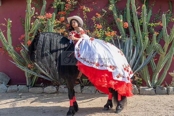 Sabrina Ai Crescencio quinceanera photoshoot photo, video en caballos, Duarte Ca, 323-633-8283, www.gvphotoandvideo.com