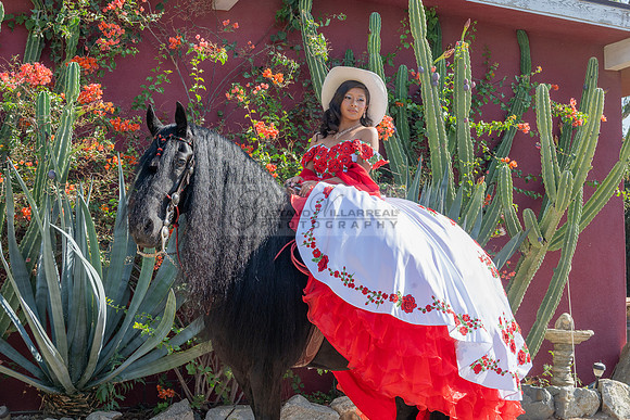 Sabrina Ai Crescencio quinceanera photoshoot photo, video en caballos, Duarte Ca, 323-633-8283, www.gvphotoandvideo.com