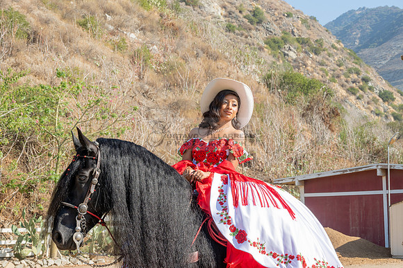Sabrina Ai Crescencio quinceanera photoshoot photo, video en caballos, Duarte Ca, 323-633-8283, www.gvphotoandvideo.com