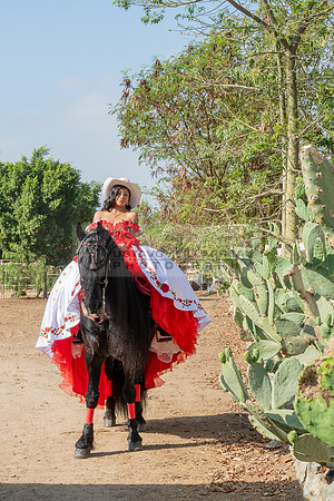 Sabrina Ai Crescencio quinceanera photoshoot photo, video en caballos, Duarte Ca, 323-633-8283, www.gvphotoandvideo.com