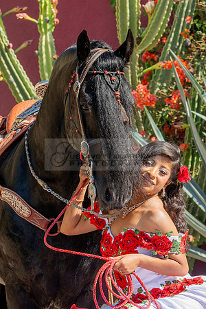 Sabrina Ai Crescencio quinceanera photoshoot photo, video en caballos, Duarte Ca, 323-633-8283, www.gvphotoandvideo.com