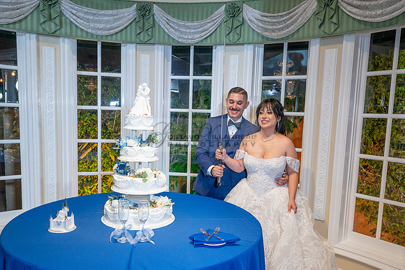 Karina and Raul Wedding celebration, ceremony, reception at The