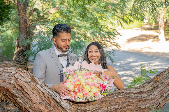 Erick and Yomira wedding, engagement photos at Los Angeles Arboretum & Botanic Garden in Arcadia Ca, images by Gustavo Villarreal Photography, 323-633-8283, www.gvphotoandvideo.com