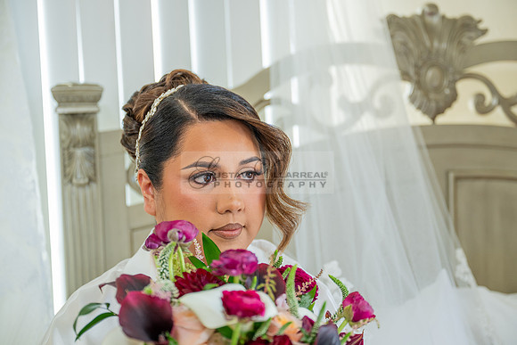 LINK #1-Ana Gabriela and Giovan wedding celebration, reception at Temple Emanuel of Beverly Hills Ca, wedding photos at Sunset States in Los Angeles California, photography and videography by Gustavo