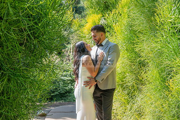 Erick and Yomira wedding, engagement photos at Los Angeles Arboretum & Botanic Garden in Arcadia Ca, images by Gustavo Villarreal Photography, 323-633-8283, www.gvphotoandvideo.com