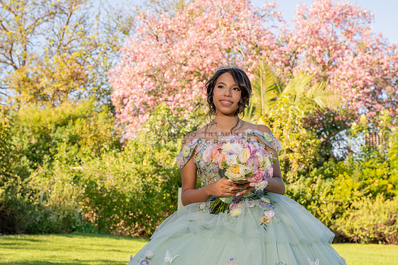 Emma Gutierrez quinceanera photo shoot, videos at South Coast Botanic Garden in Palos Verdes States Ca by Gustavo Villarreal Photography, 323-633-8283, www.gvphotoandvideo.com