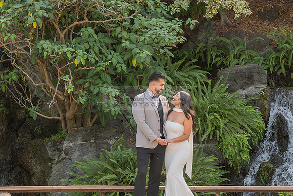 Erick and Yomira wedding, engagement photos at Los Angeles Arboretum & Botanic Garden in Arcadia Ca, images by Gustavo Villarreal Photography, 323-633-8283, www.gvphotoandvideo.com