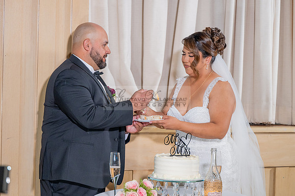 LINK #2 Ana Gabriela and Giovan wedding celebration, reception at Temple Emanuel of Beverly Hills Ca, wedding photos at Sunset States in Los Angeles California, photography and videography by Gustavo
