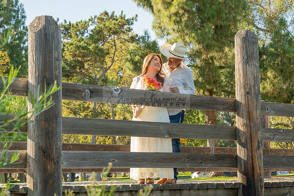 Angelica and Luis Engagement photos, weddings, family portraits at Yorba Regional Park in Anaheim California by Gustavo Villarreal Photography, videographer, 323-633-8283, www.gvphotoandvideo.com