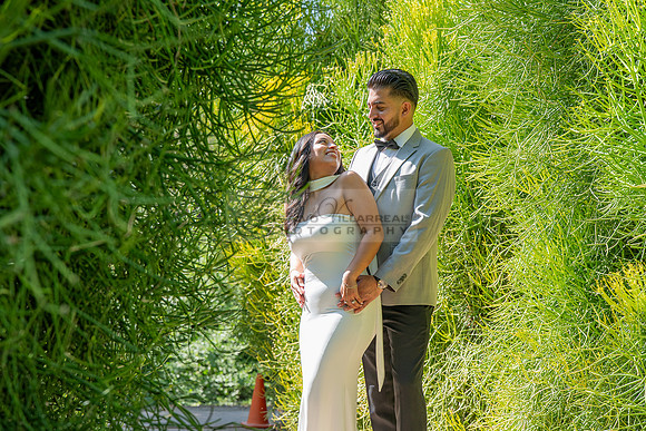 Erick and Yomira wedding, engagement photos at Los Angeles Arboretum & Botanic Garden in Arcadia Ca, images by Gustavo Villarreal Photography, 323-633-8283, www.gvphotoandvideo.com
