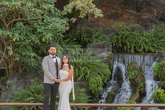 Erick and Yomira wedding, engagement photos at Los Angeles Arboretum & Botanic Garden in Arcadia Ca, images by Gustavo Villarreal Photography, 323-633-8283, www.gvphotoandvideo.com