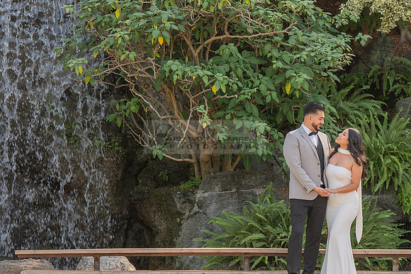 Erick and Yomira wedding, engagement photos at Los Angeles Arboretum & Botanic Garden in Arcadia Ca, images by Gustavo Villarreal Photography, 323-633-8283, www.gvphotoandvideo.com