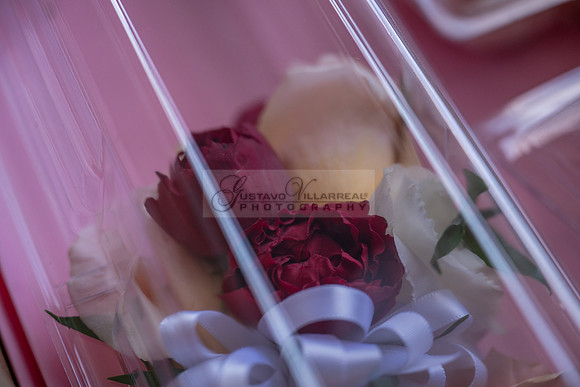 LINK #1-Ana Gabriela and Giovan wedding celebration, reception at Temple Emanuel of Beverly Hills Ca, wedding photos at Sunset States in Los Angeles California, photography and videography by Gustavo