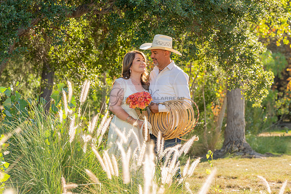 Angelica and Luis Engagement photos, weddings, family portraits at Yorba Regional Park in Anaheim California by Gustavo Villarreal Photography, videographer, 323-633-8283, www.gvphotoandvideo.com