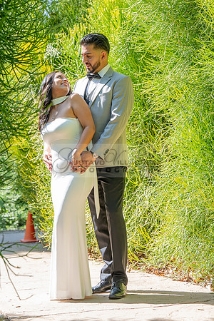Erick and Yomira wedding, engagement photos at Los Angeles Arboretum & Botanic Garden in Arcadia Ca, images by Gustavo Villarreal Photography, 323-633-8283, www.gvphotoandvideo.com
